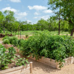 legacy-ranch-garden