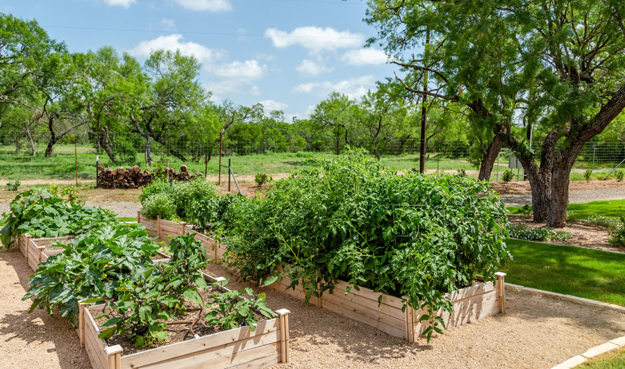 legacy-ranch-garden